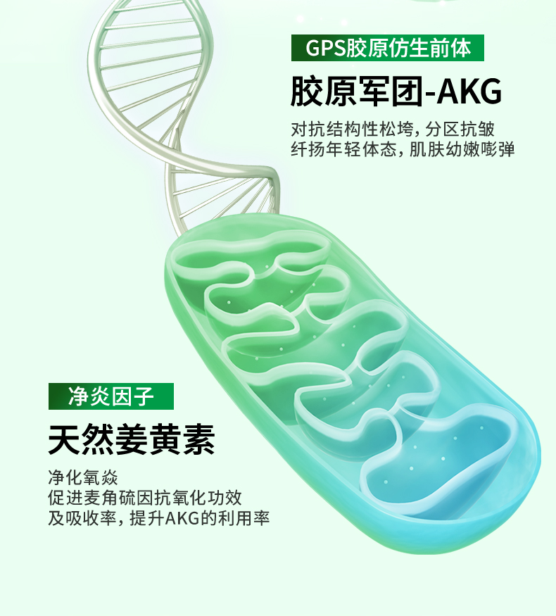 20250318-葆龄轻_15.jpg