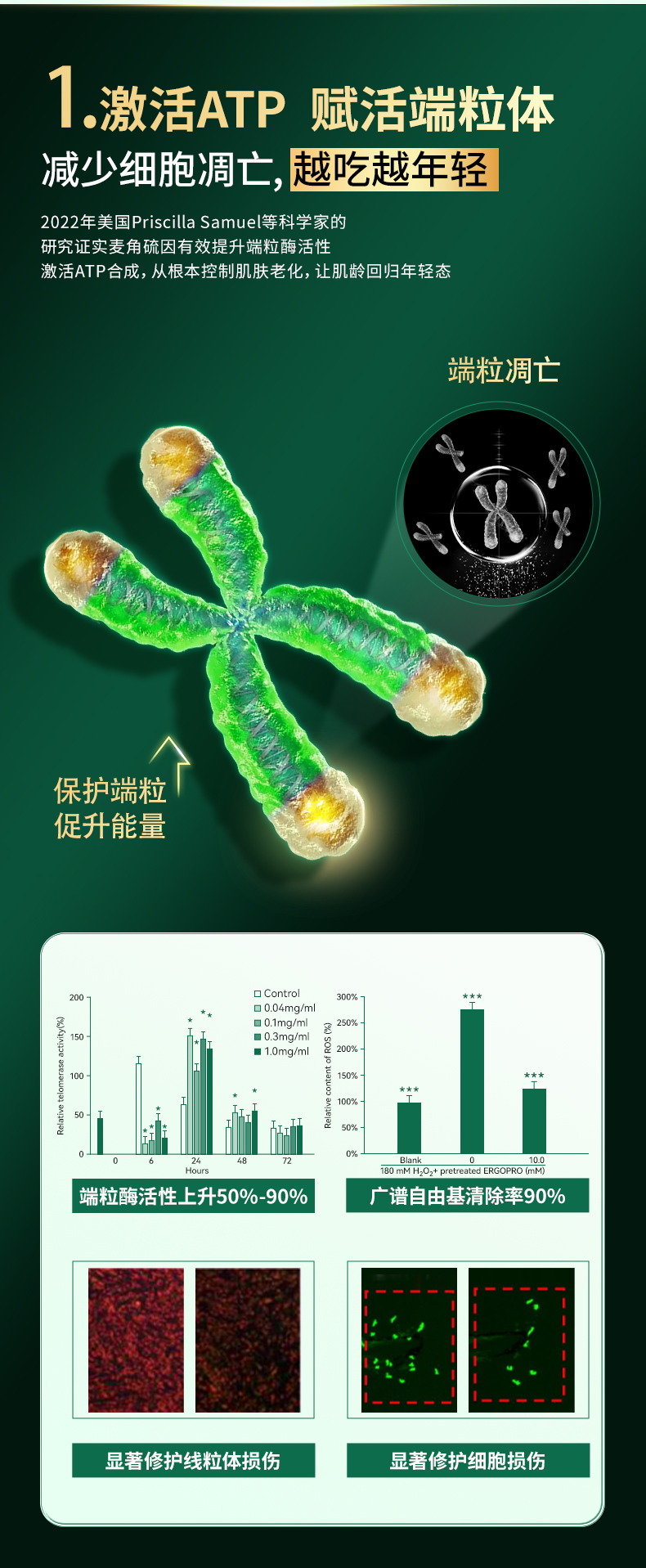 20250318-葆龄轻_16.jpg