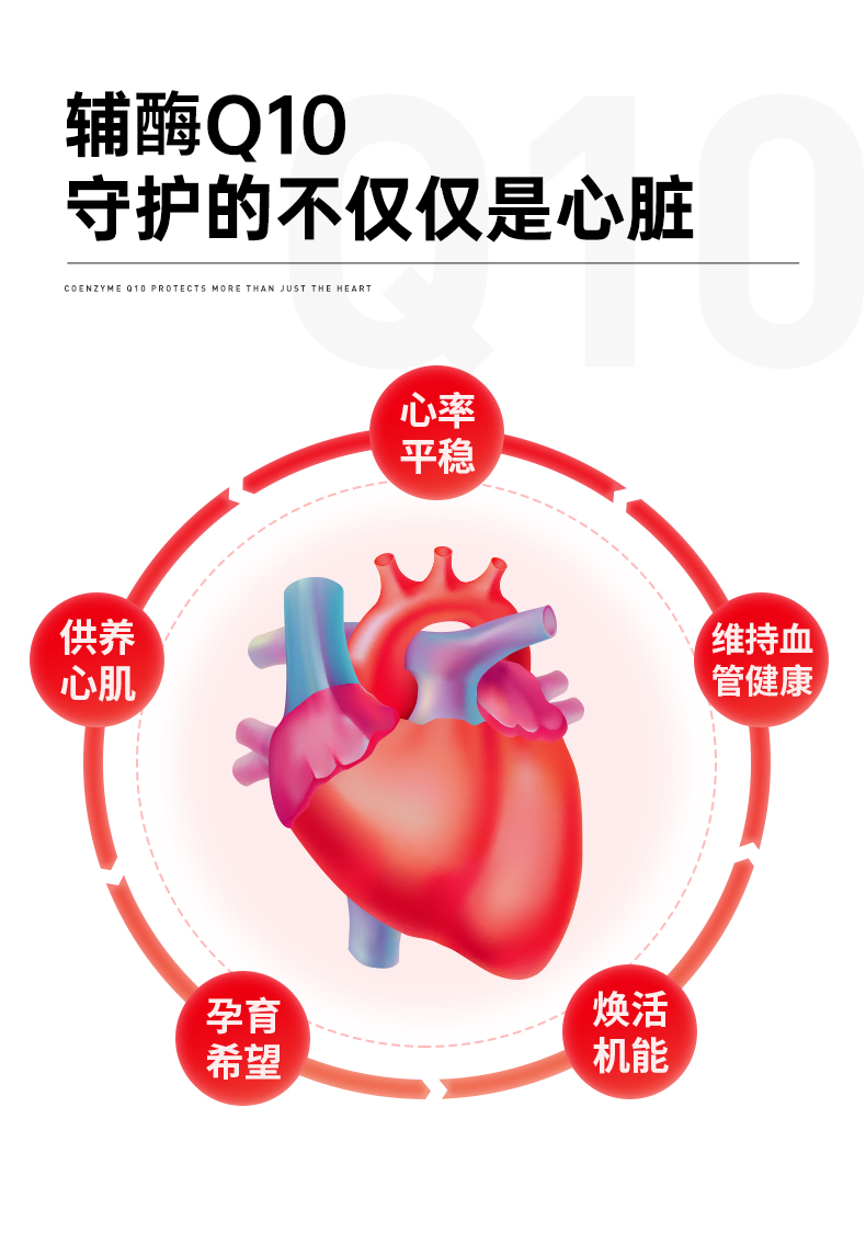 20241021-200mg辅酶6_15.jpg