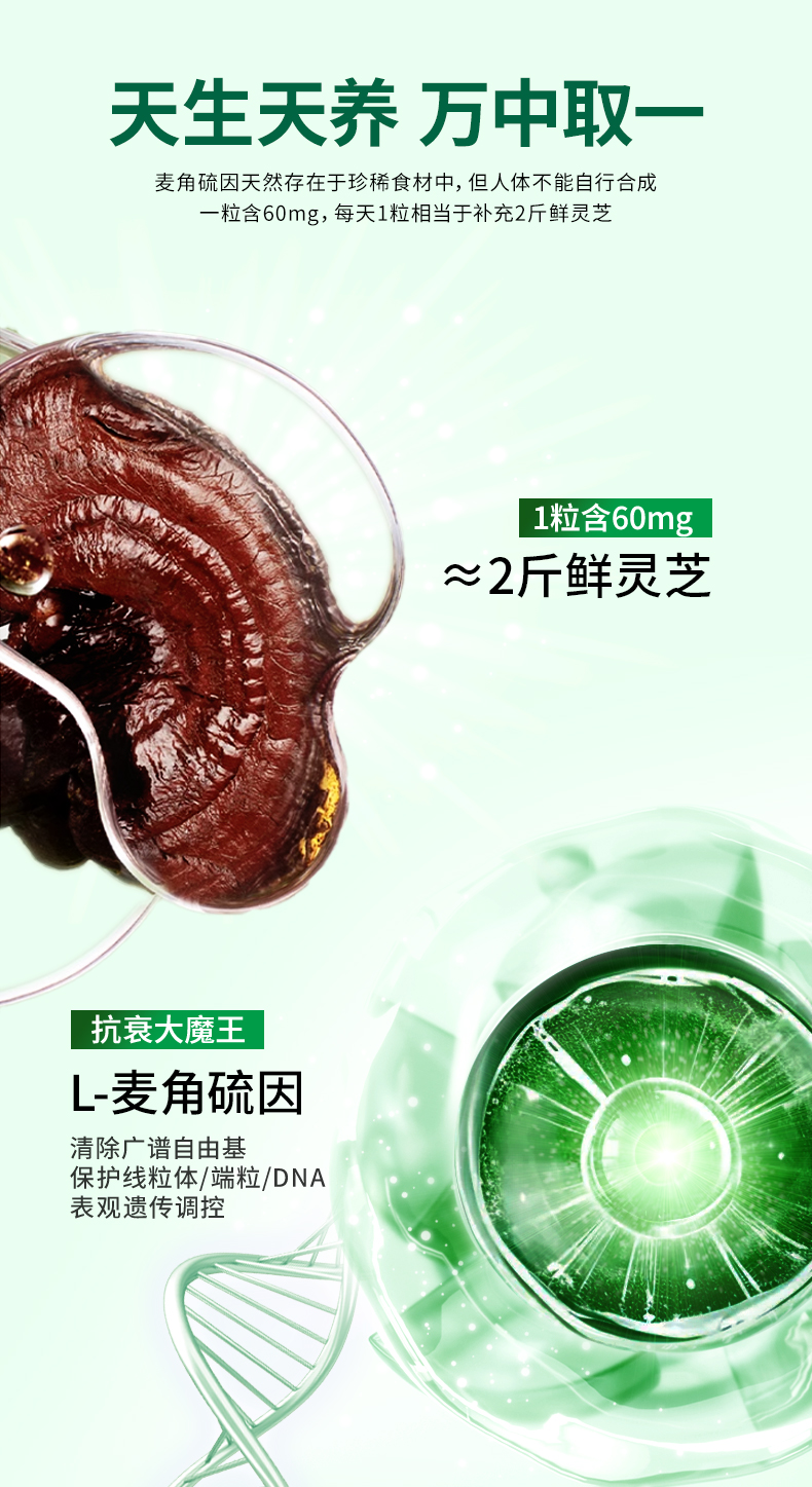 20250318-葆龄轻_14.jpg