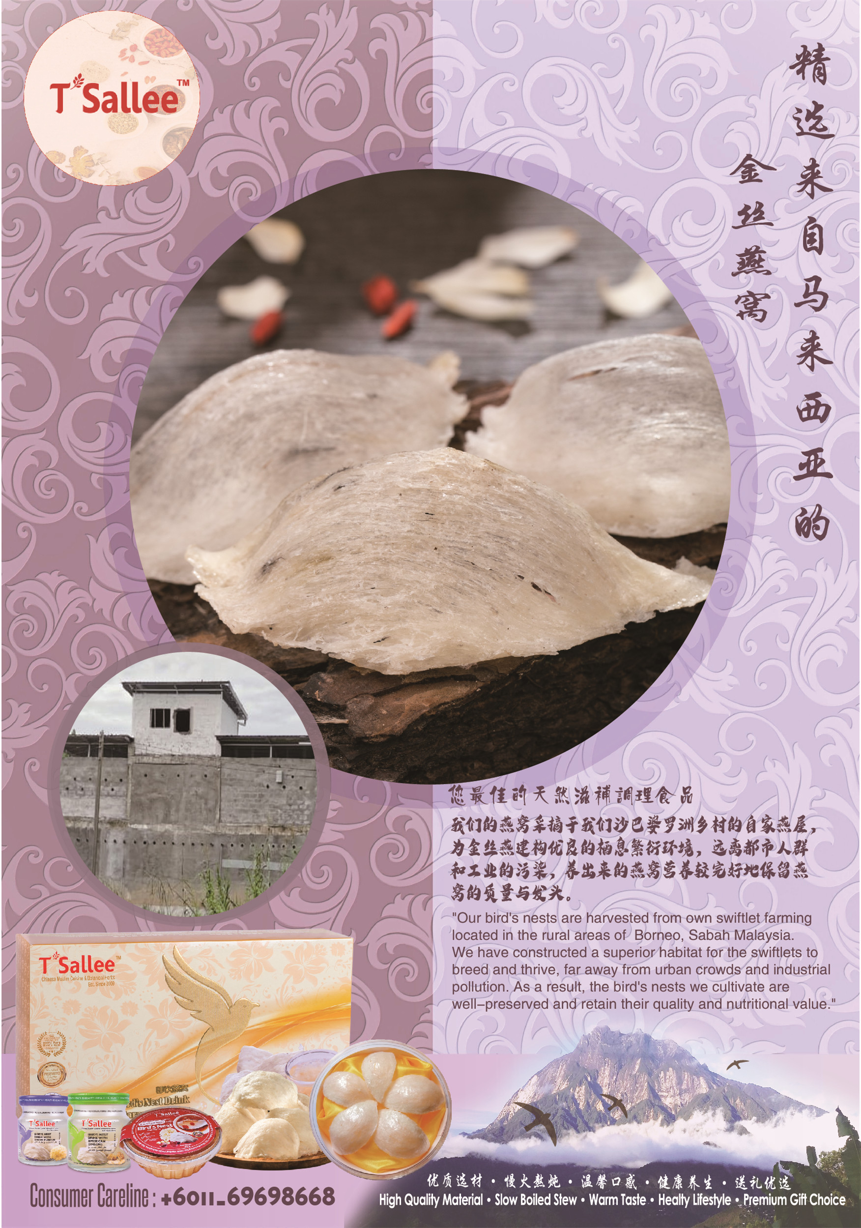 Bird Nest Flyer 2024.jpg