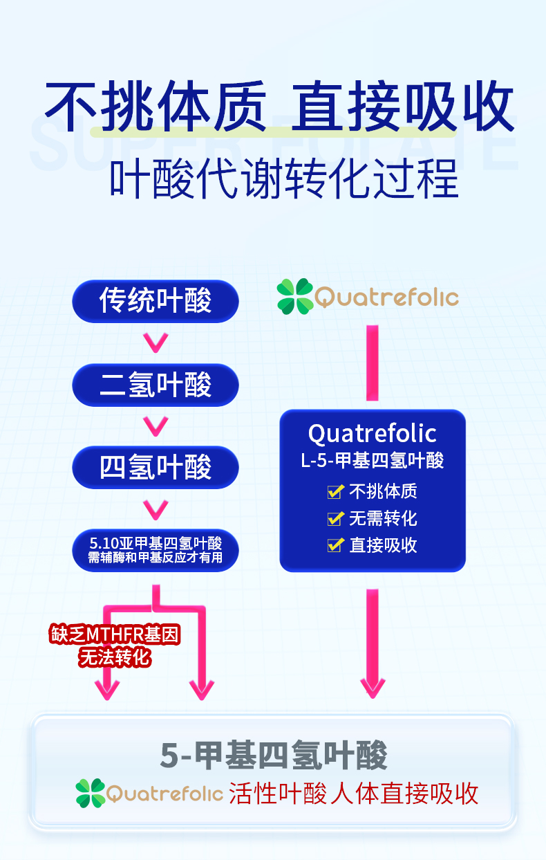 跨境活性叶酸详情25-4-17_04.jpg