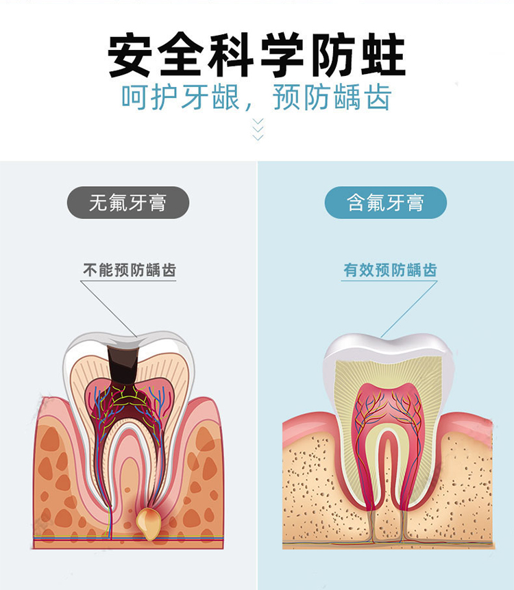 乳酸菌牙膏_09.jpg