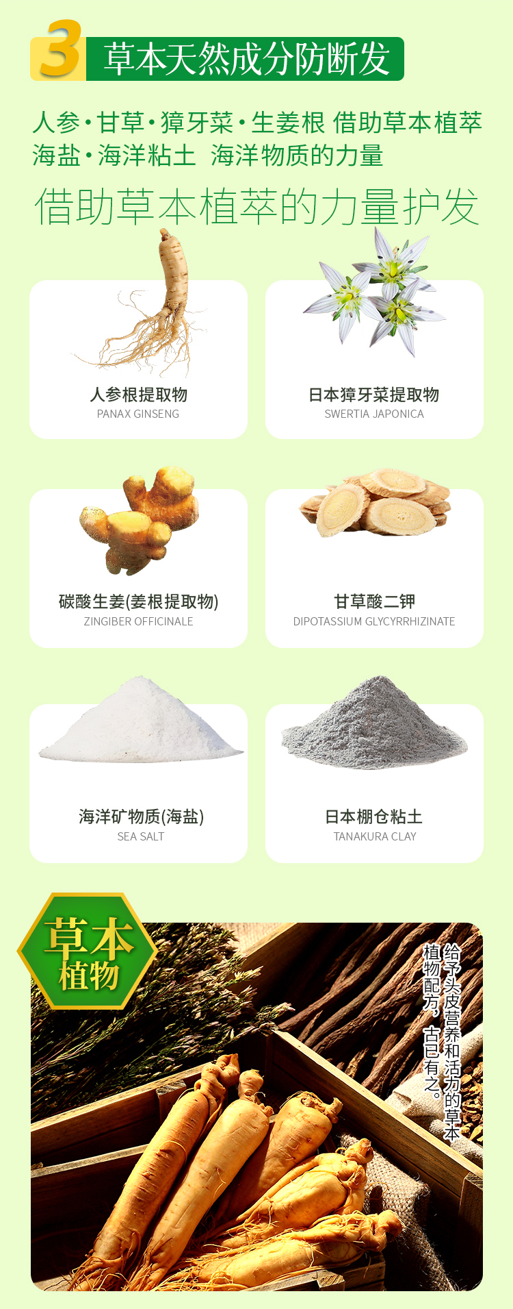柑橘保湿护理润发乳-260130-拷贝_06.jpg