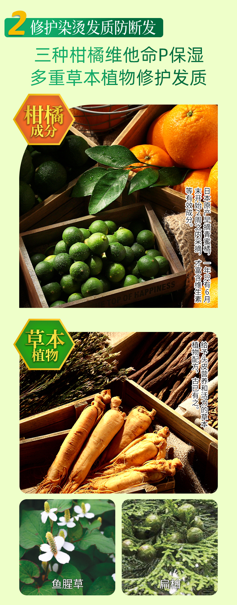 详情页：精油滋养洗发露_20260624-拷贝_04.jpg
