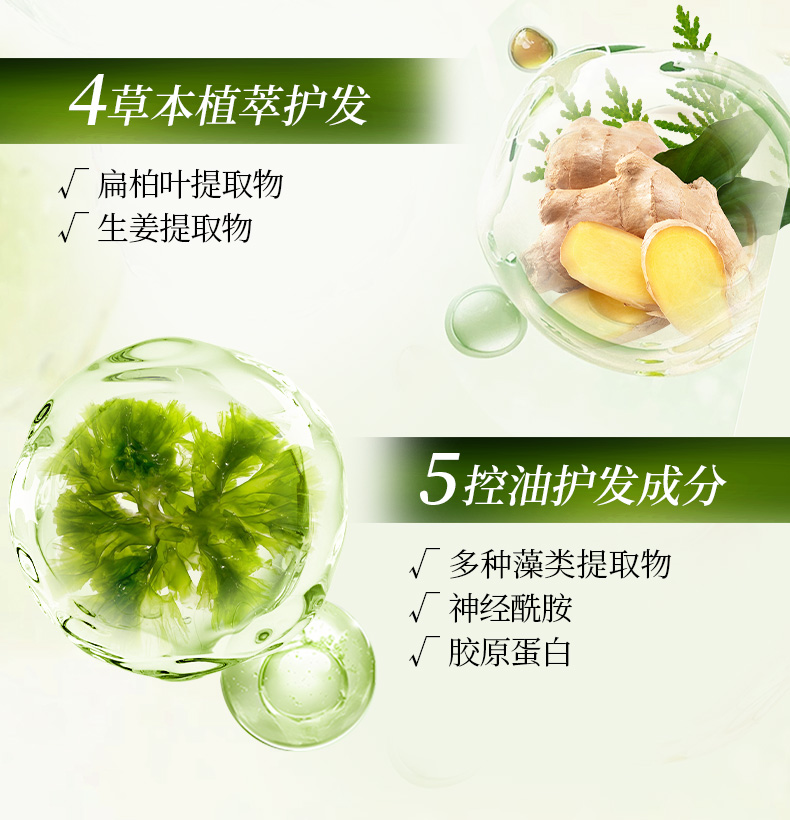 柑气楼去屑_06.jpg