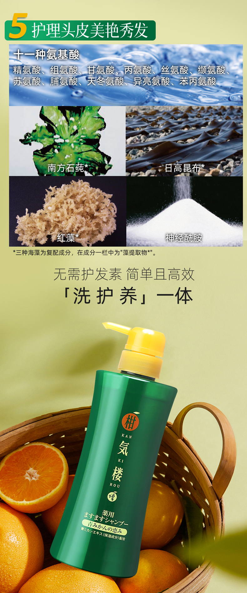 详情页：精油滋养洗发露_20260624-拷贝_07.jpg