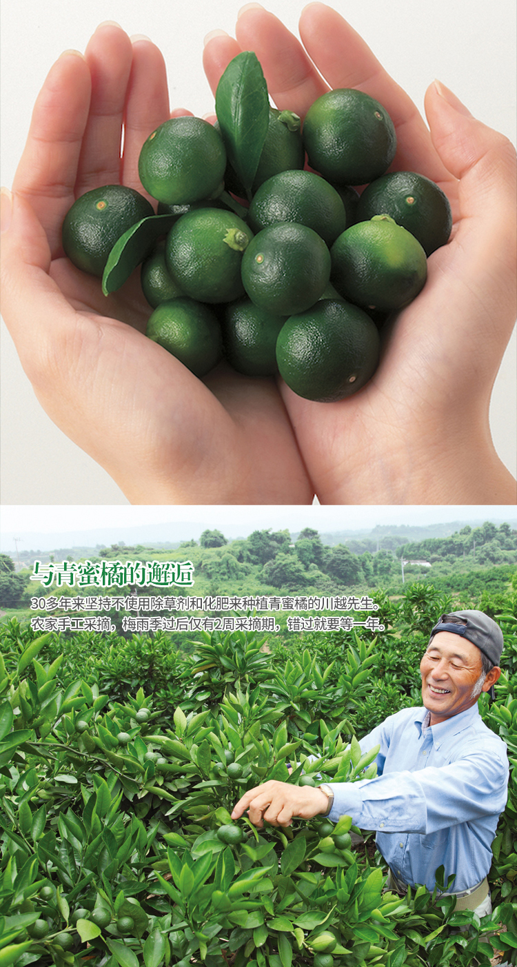 详情页：柑气楼柑橘丰润控油洗发露500g&600g-20260306-拷贝_06.jpg