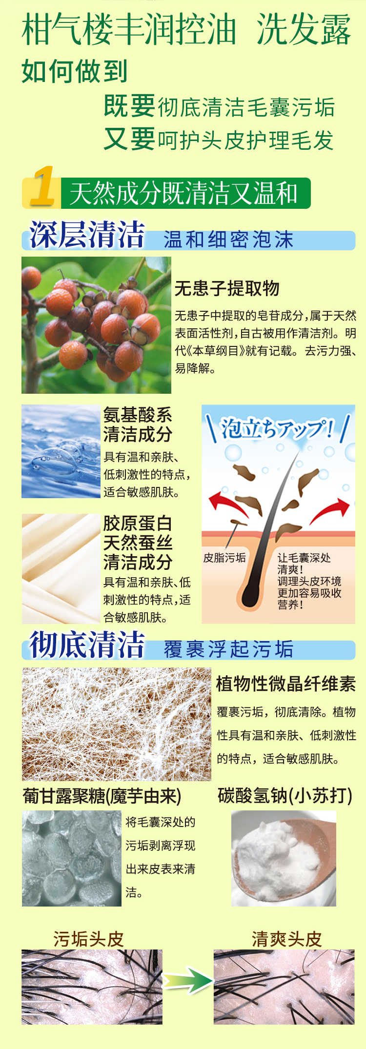详情页：柑气楼柑橘丰润控油洗发露500g&600g-20260306-拷贝_04.jpg