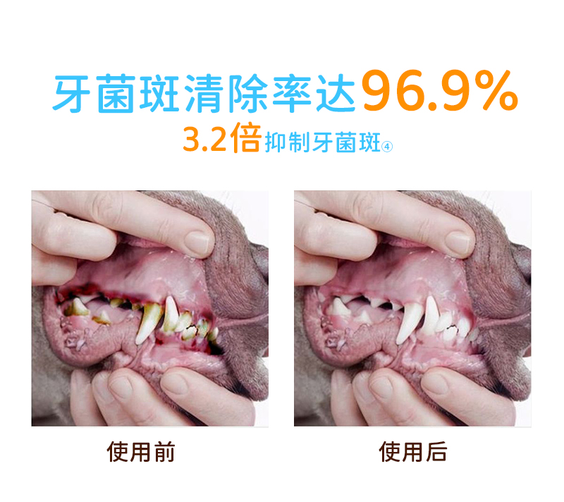 狗用牙膏详情_05.jpg