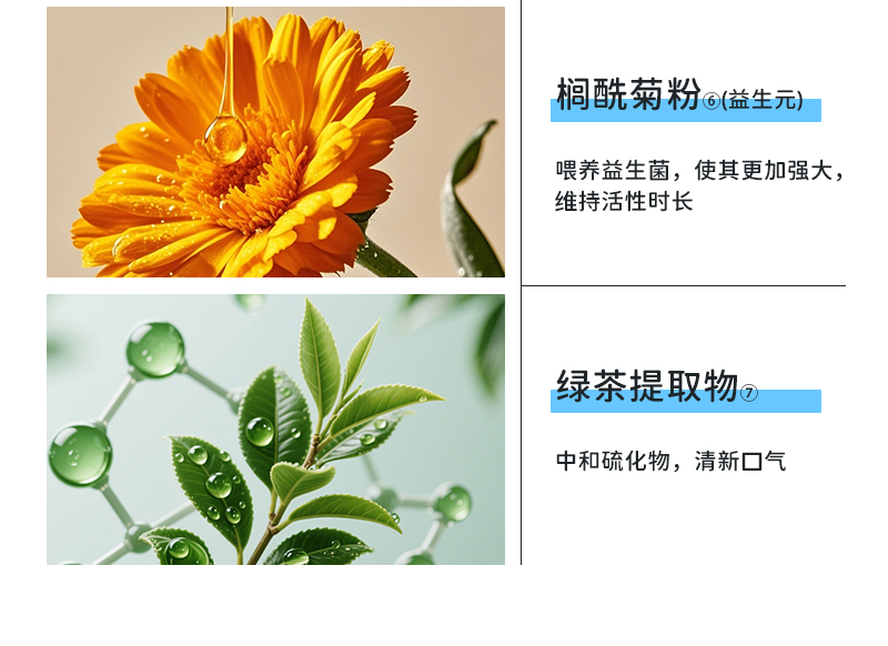 狗用洁齿胶囊详情_05.jpg