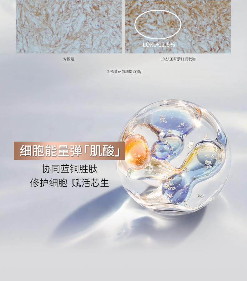579B639F06A7E3F2599C238E3B18CA12.jpg 铂金生机面霜详情页260122_08.jpg