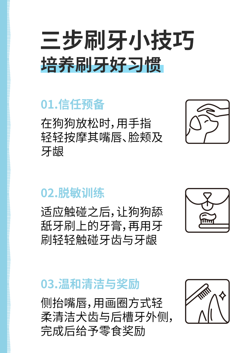 狗用洁齿牙刷详情页05.png