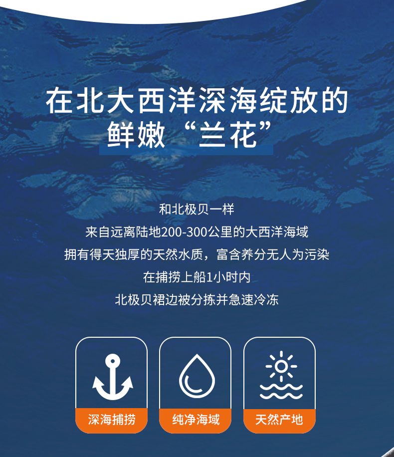详情页_05.jpg