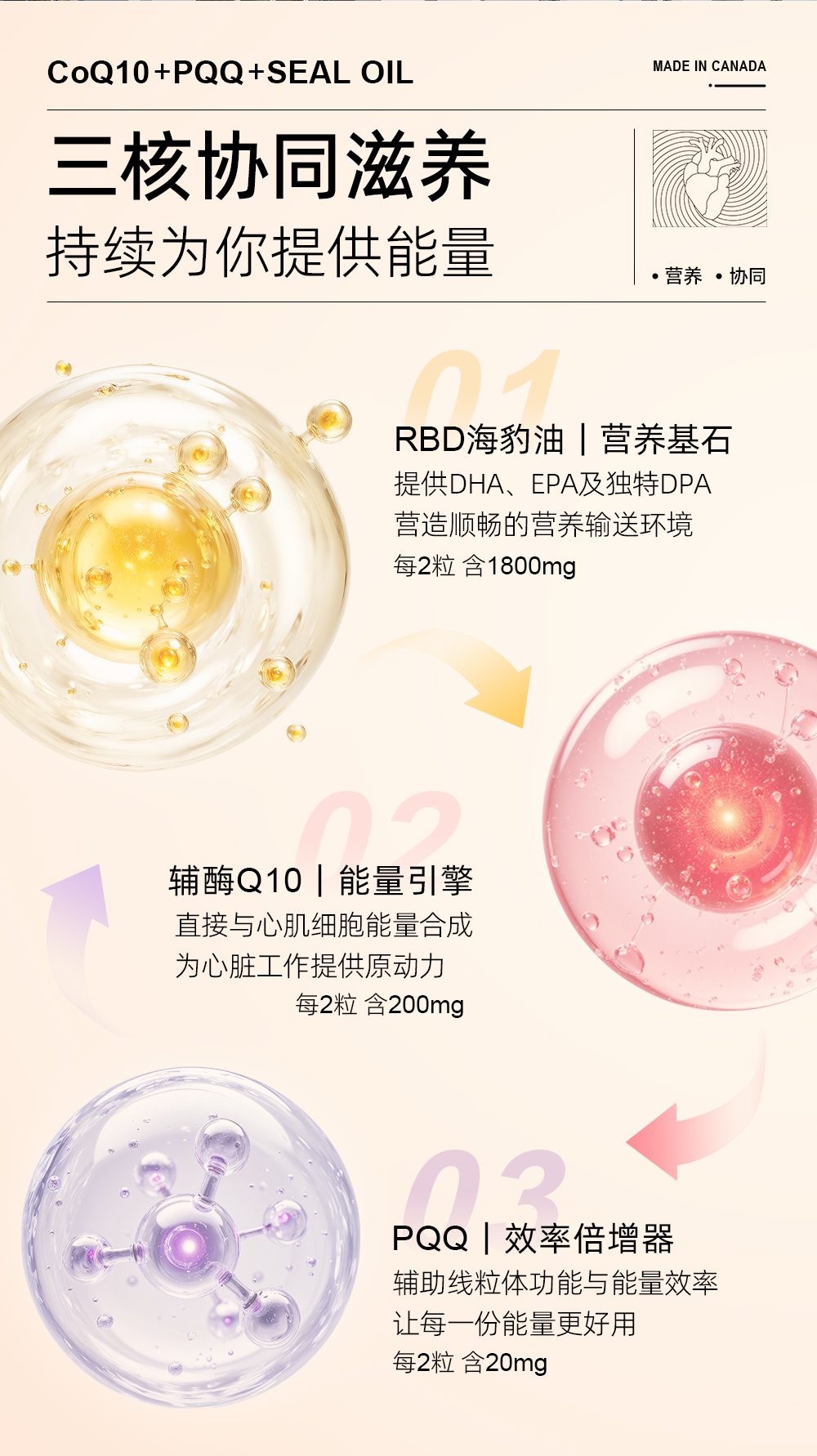 C697C2C303D2958CB7436595ECE8739B.jpg 辅酶海豹油详情页(代言人3)_04.jpg