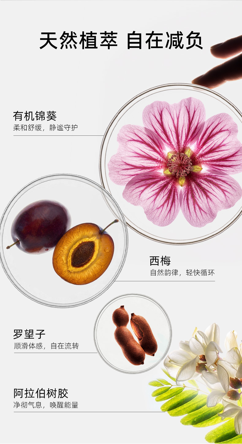 肠道安瓶详情页_03.jpg