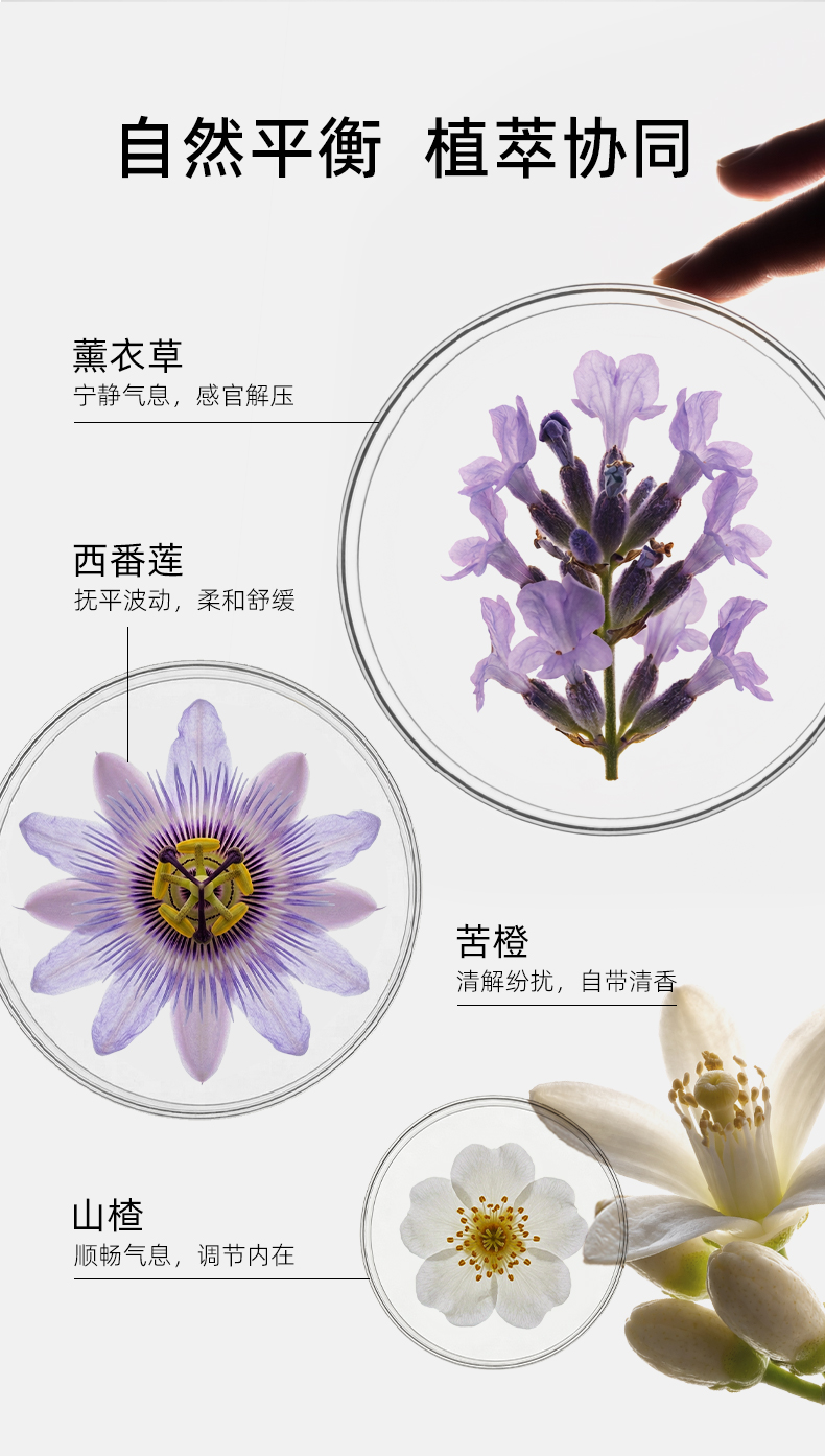 情绪安瓶详情页_03.jpg