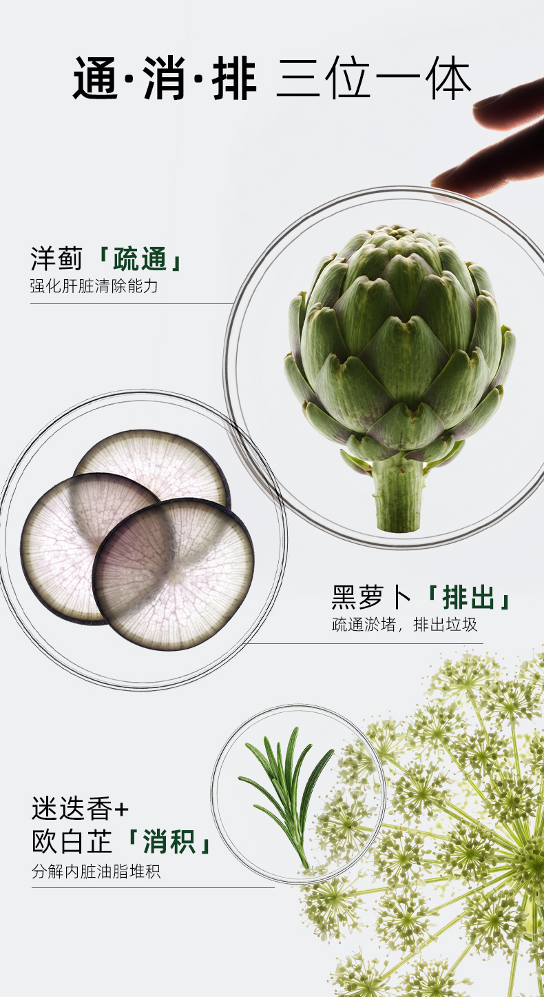 大贸护肝安瓶详情页-0723_05.jpg