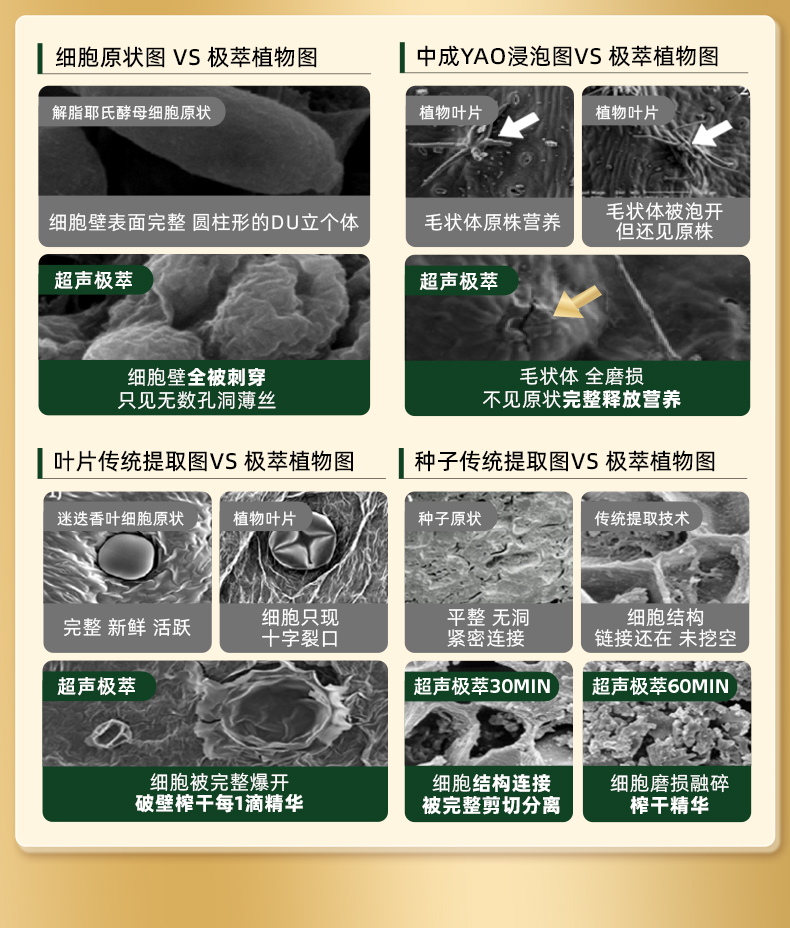 大贸护肝安瓶详情页-0723_10.jpg