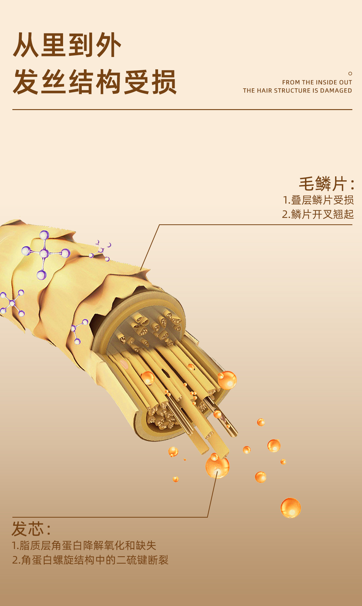 387BAF2CD0F21635E9B9B61FC688BFF9.jpg 护发精油详情_03.jpg