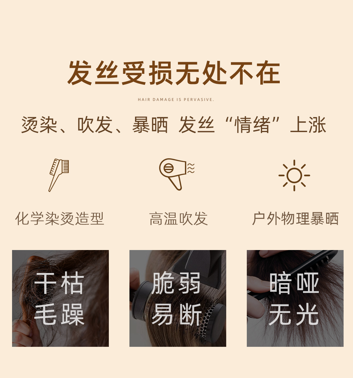 589B25F3D0D9C56CB11B5DE0B2D3F2A8.jpg 护发精油详情_02.jpg