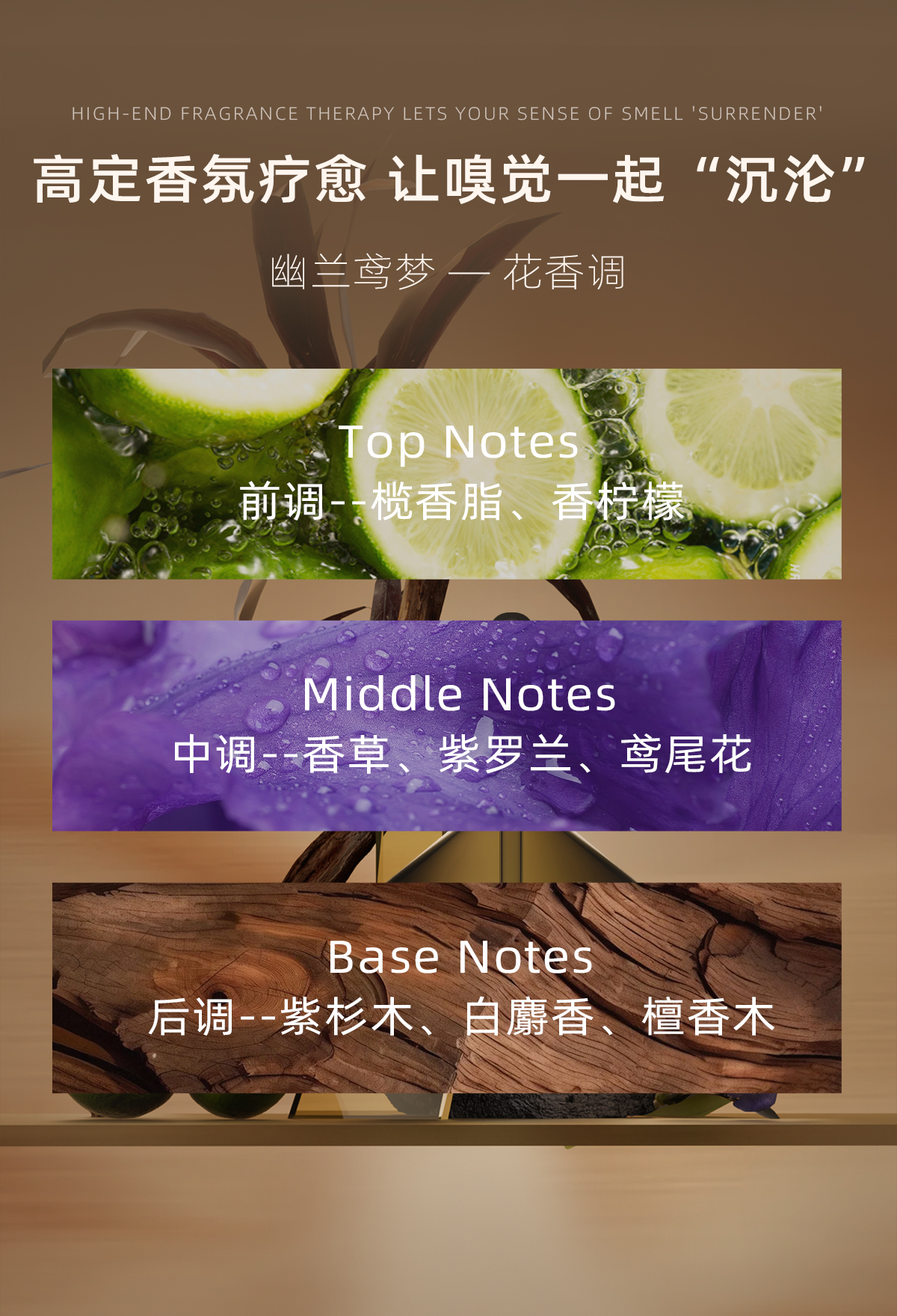 B35B5FD0CAC79E16554C204862829EAE.jpg 护发精油详情_10.jpg