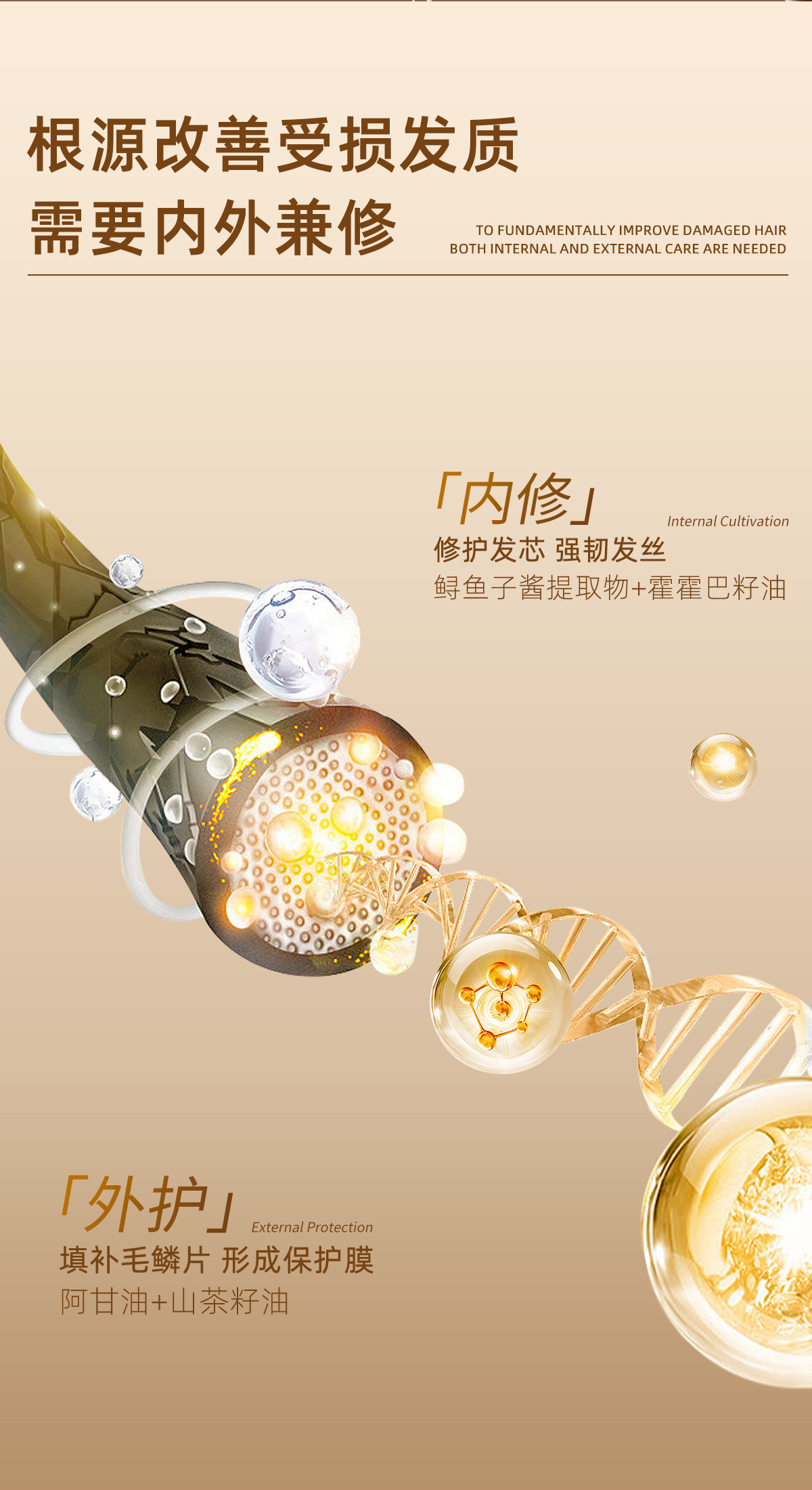C25DA62A0211F49D4F6AEA2E2B2142AA.jpg 护发精油详情_05.jpg