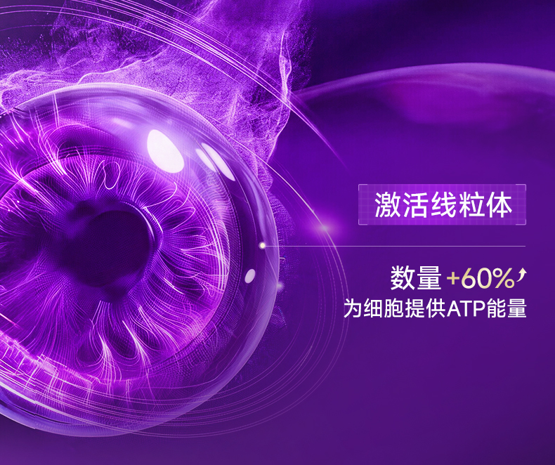3C7FE6E21B87E2CAAFA13858E8281A80.jpg 详情页_21.jpg