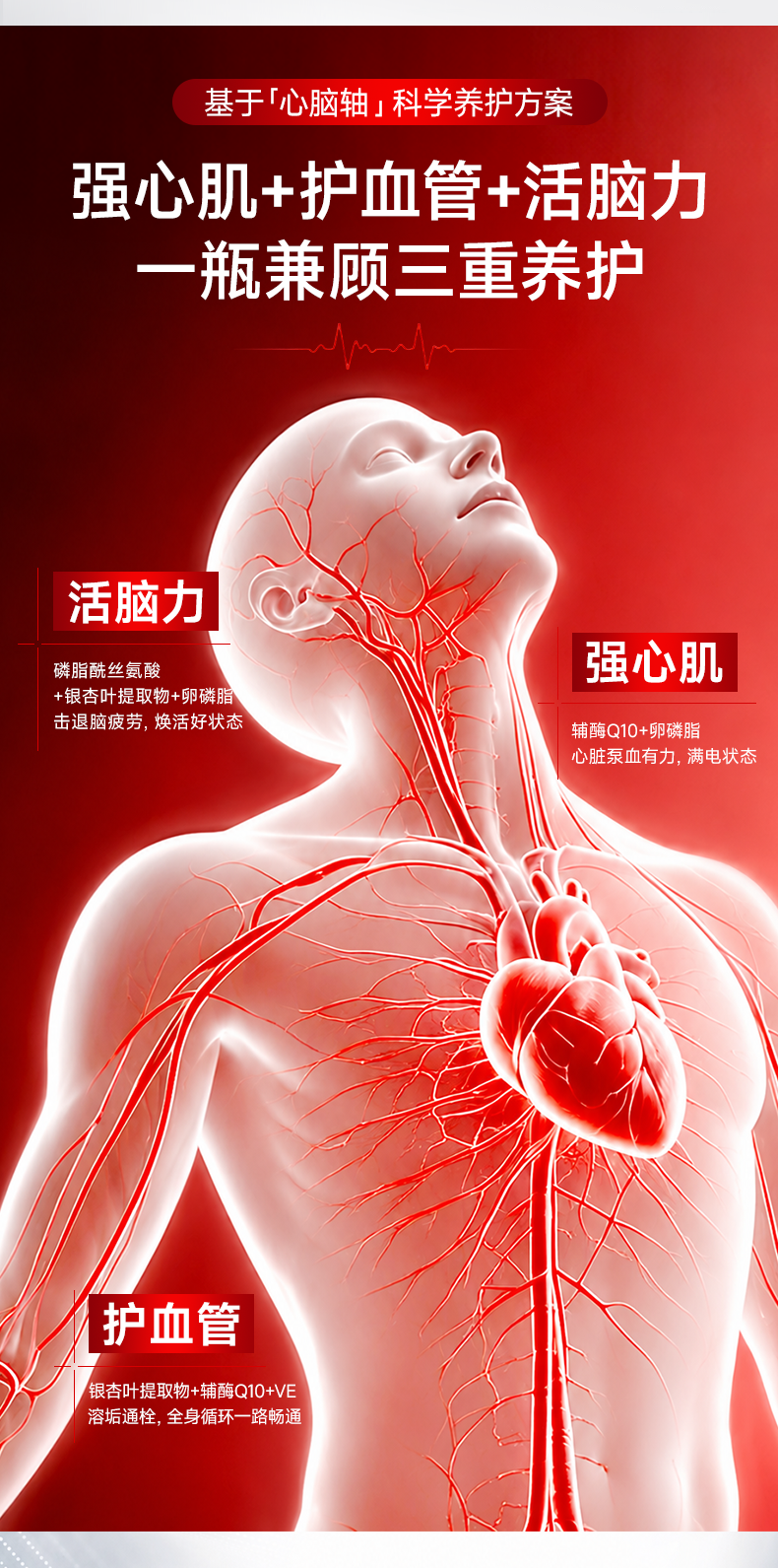 41102889CFEB50226699255D4106243E.png 辅酶_05.png