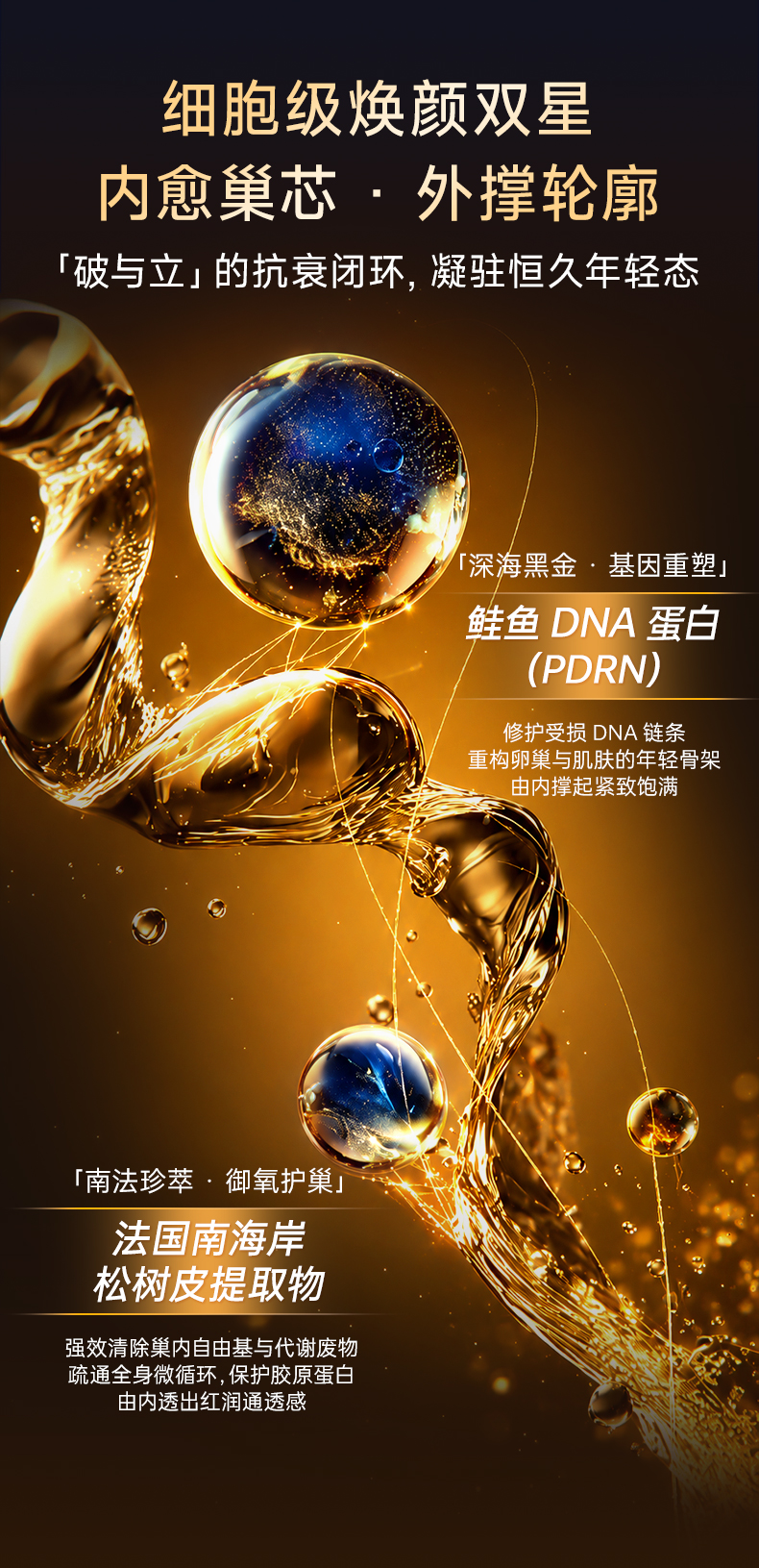 57A004186A1345671ADD748F6886C526.jpg 巢龄轻白金版_0825_黑金_12.jpg