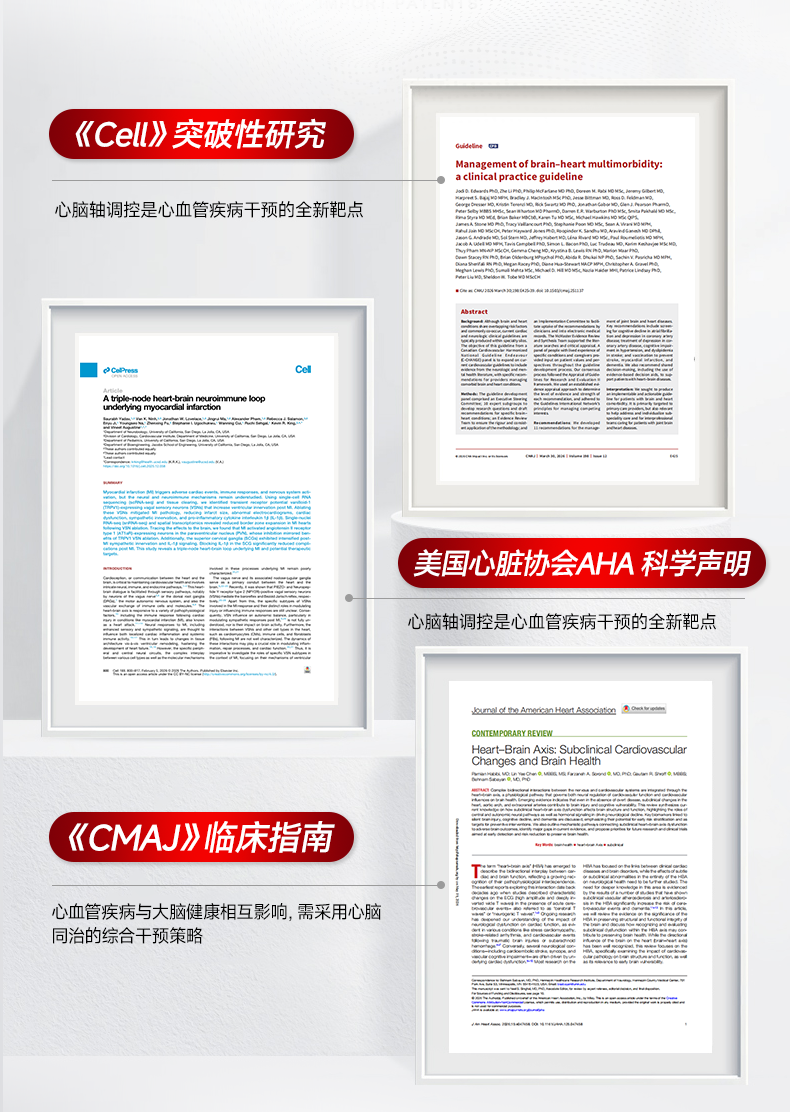 A3B8CB4836542F1098534AD8F2095151.png 辅酶_04.png
