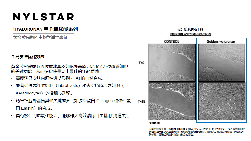 玻尿酸8.png