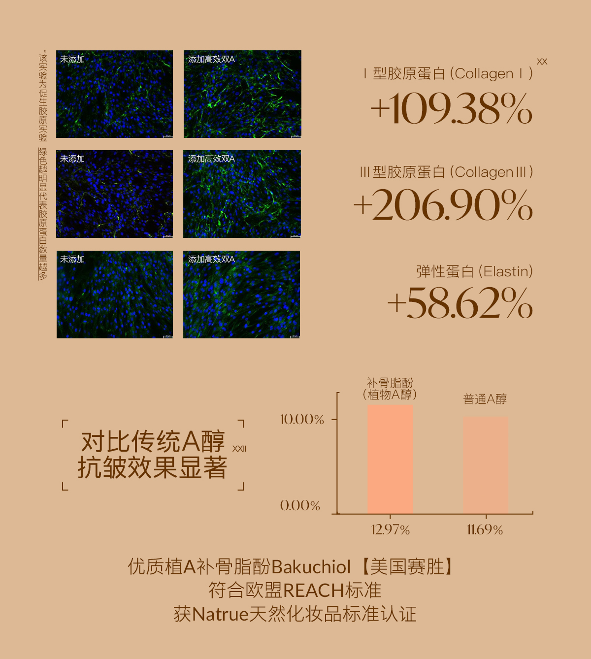 0911抗皱油详情_10.jpg