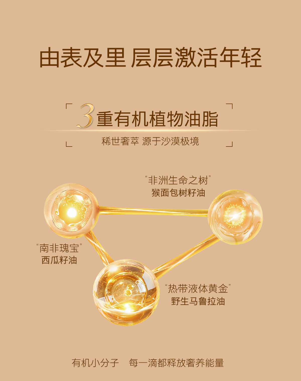 0911抗皱油详情_08.jpg