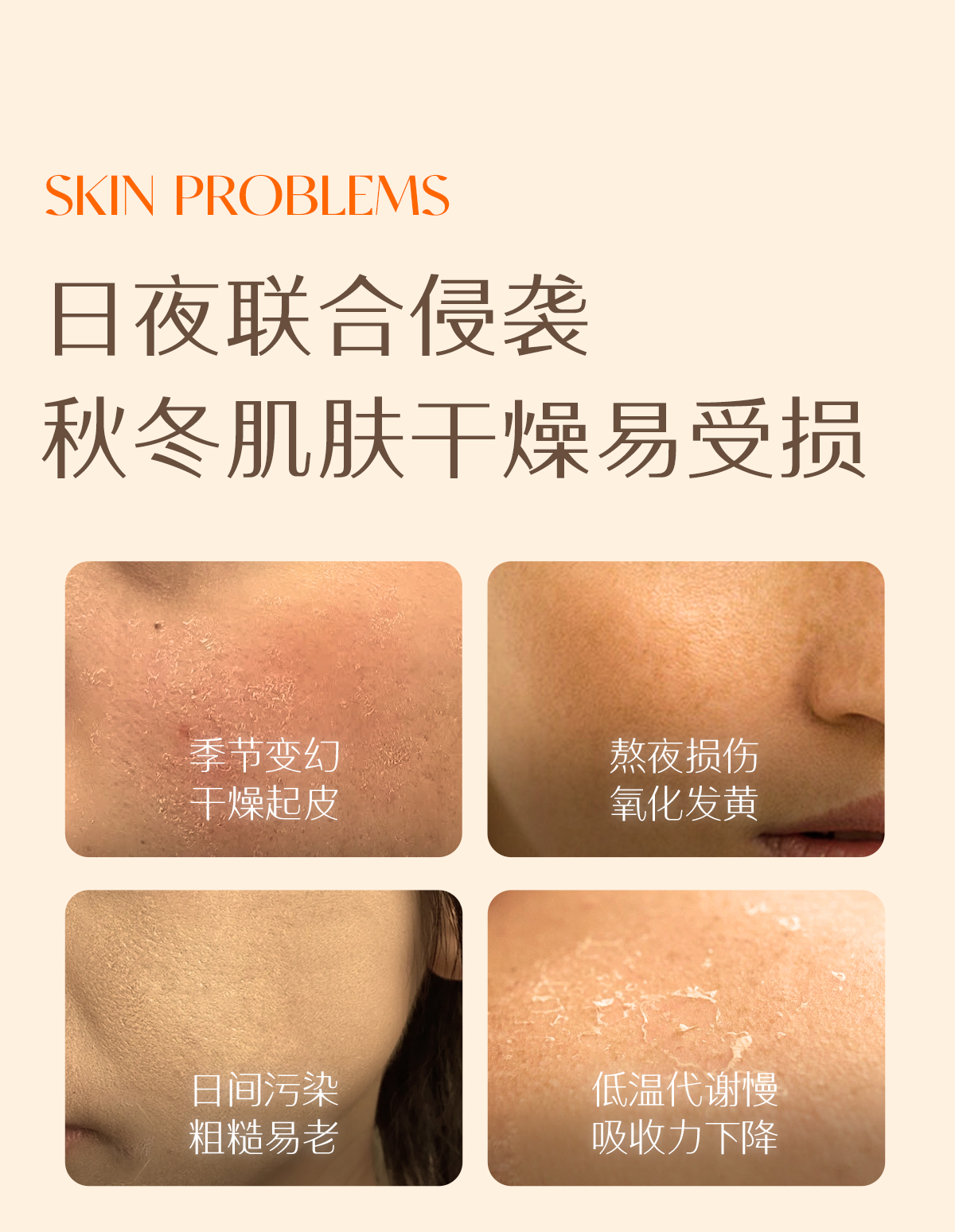 BD2B01E211743E7D059485393E3EB633.jpg 2408油膜霜_03.jpg