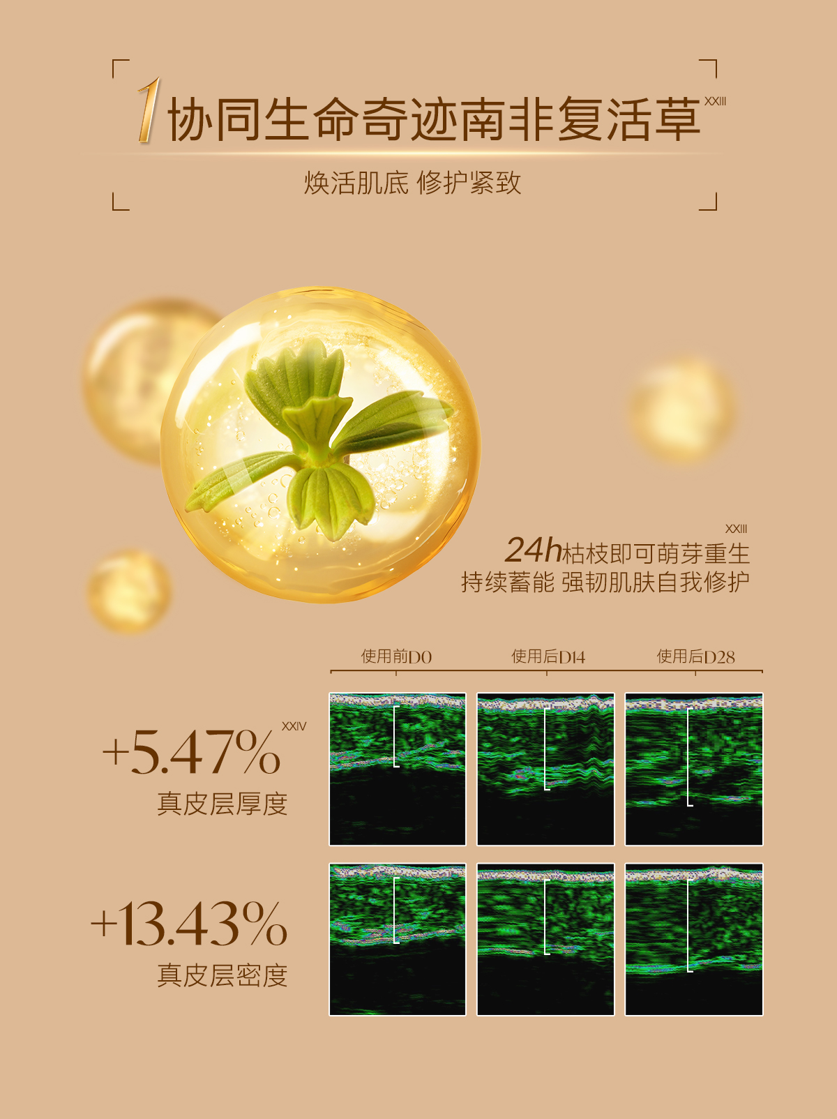 0911抗皱油详情_11.jpg