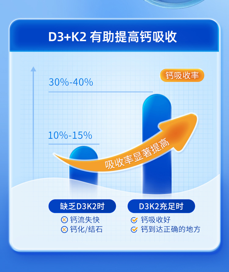 D3+K2_06.jpg