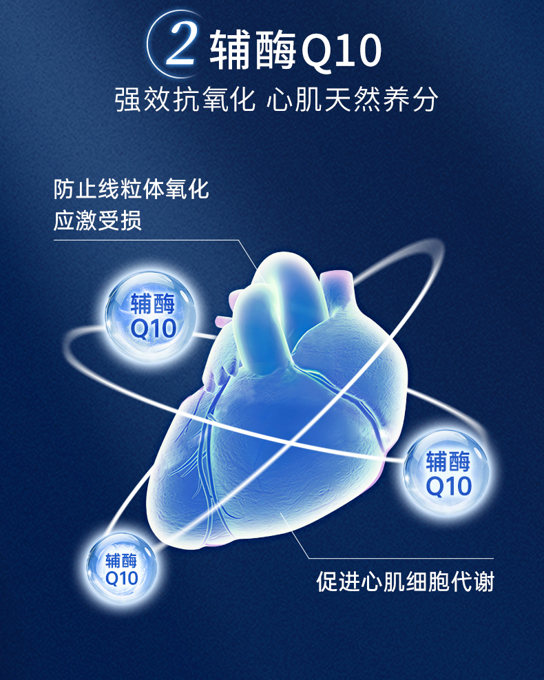 2024.09-Cellprotect-4.1_16.jpg
