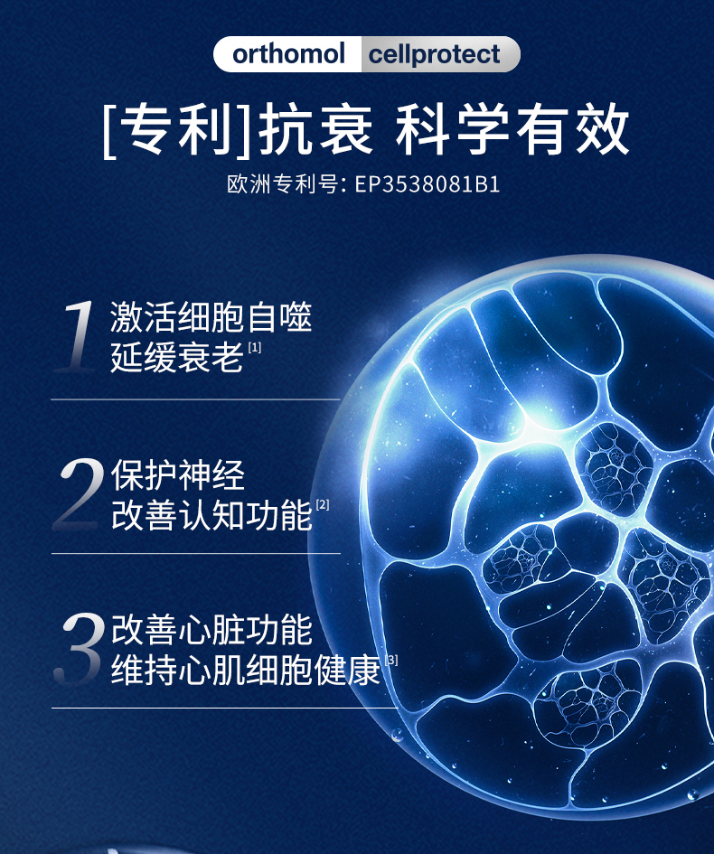 2024.09-Cellprotect-4.1_14.jpg