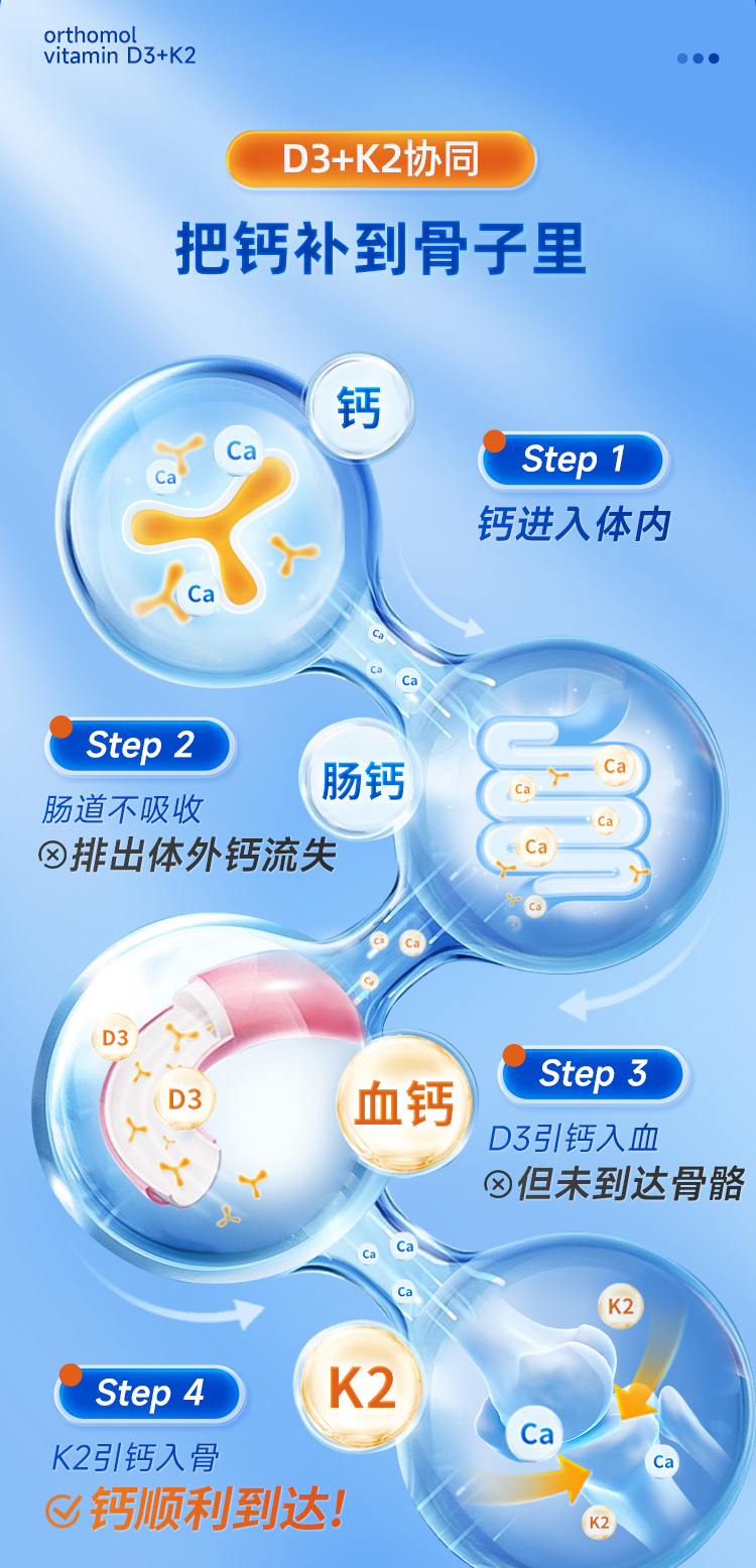 D3+K2_05.jpg
