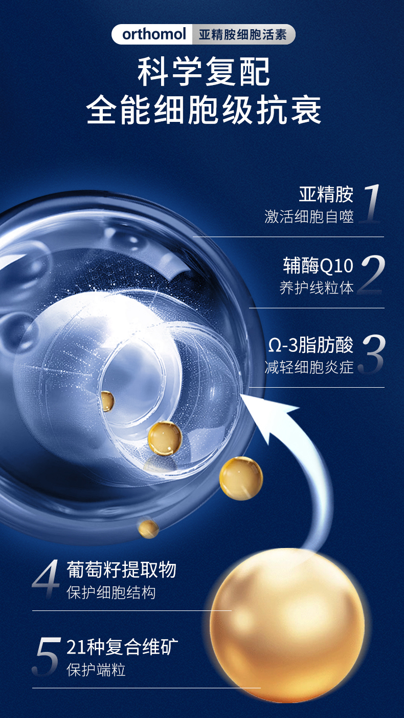 2024.09-Cellprotect-4.1_09.jpg