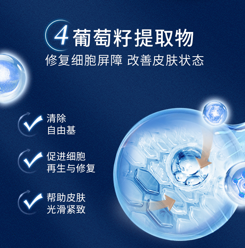 2024.09-Cellprotect-4.1_18.jpg