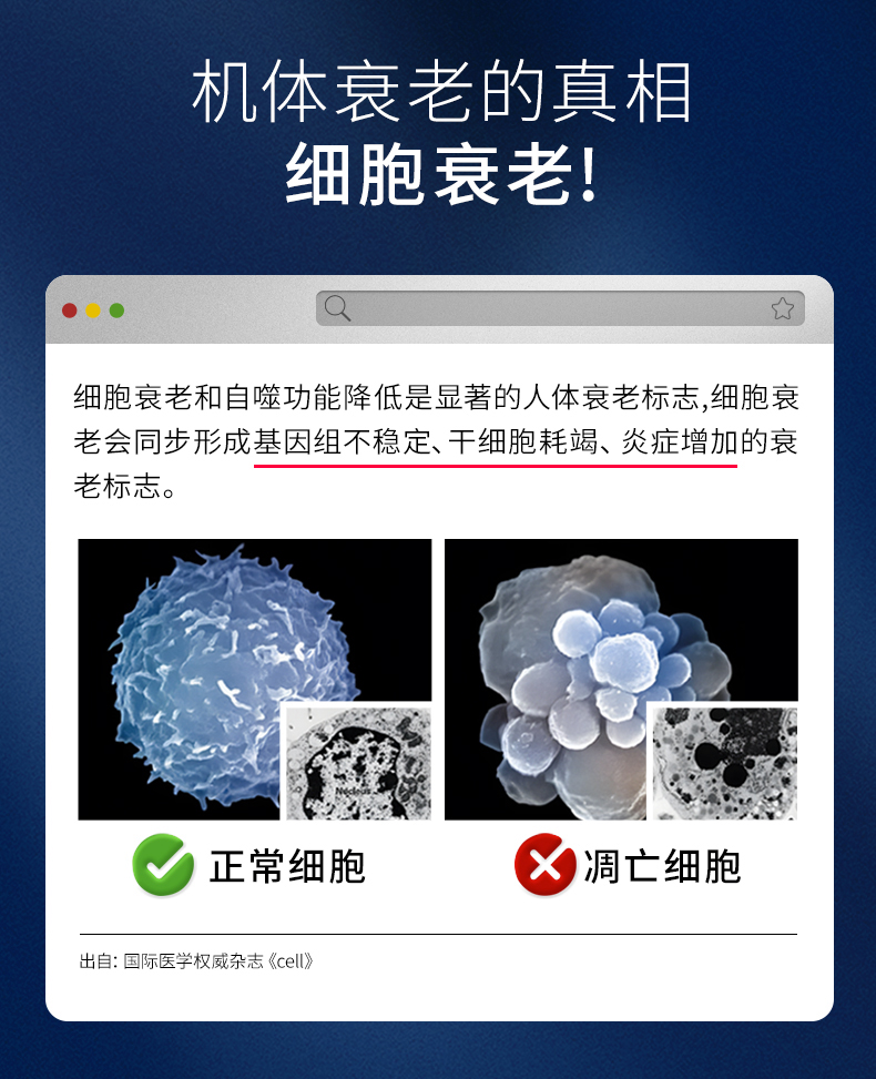 2024.09-Cellprotect-4.1_08.jpg