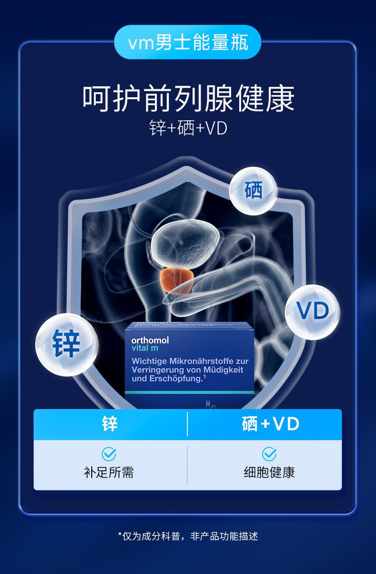 2026.0405-vm（删减版）_11.jpg