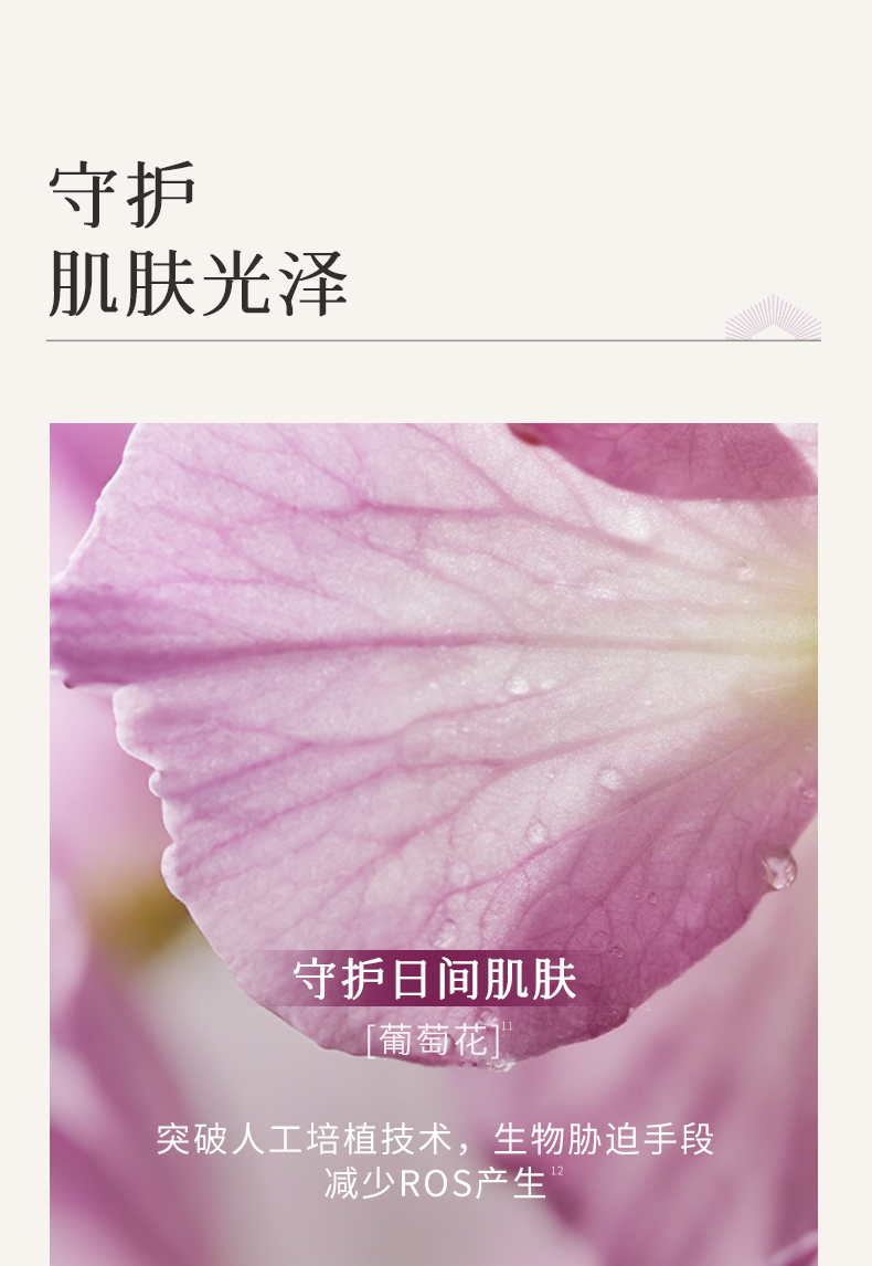 枫缇御泽日间抗皱焕采保湿胶囊精华（28粒）_08.jpg