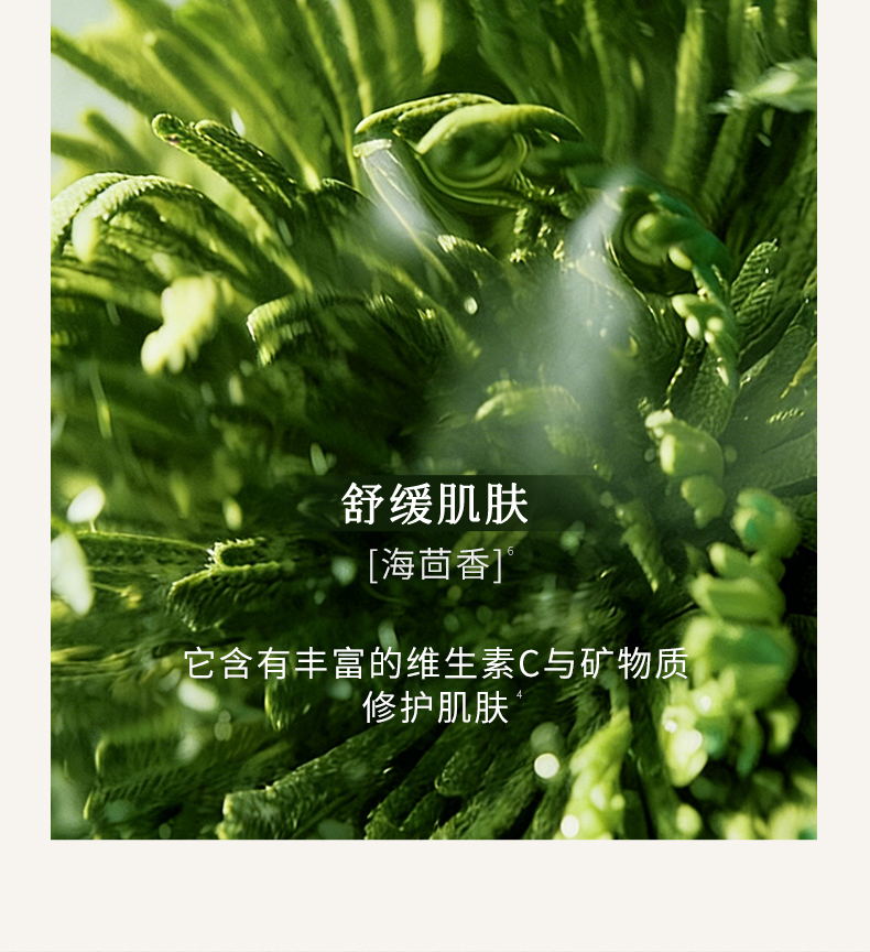 枫缇御泽紧致焕肤修护精华面膜_10.jpg