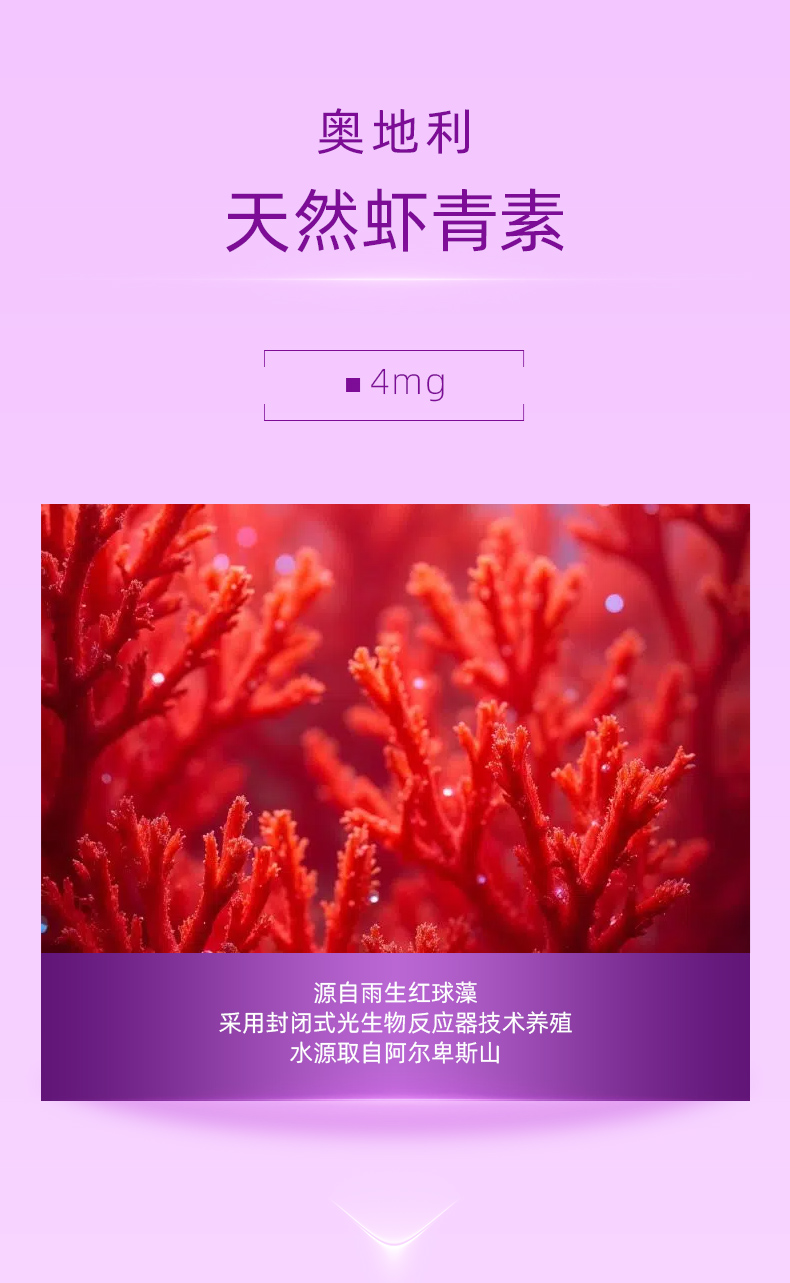VPC详情页 (13).jpg