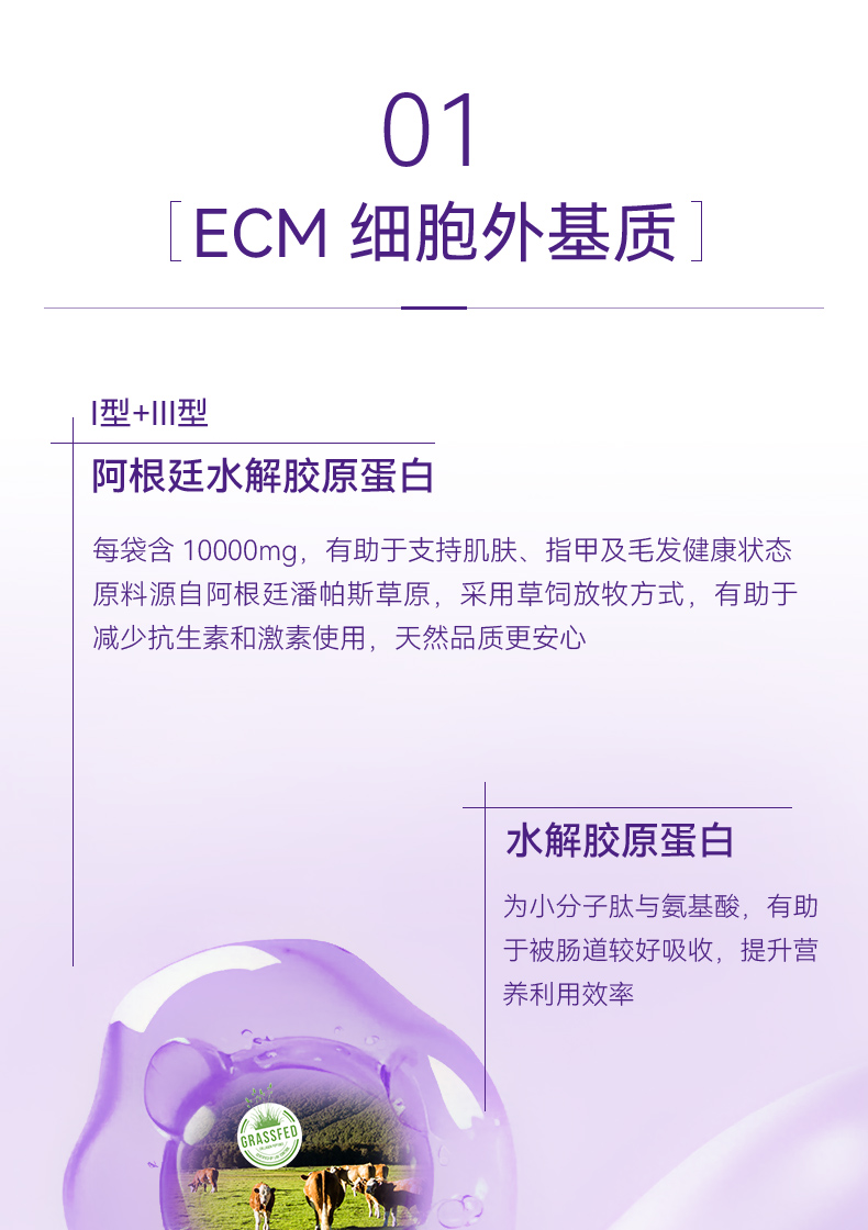 94BC1E3069DE3E8E0A4DD34F8C4423D6.jpg vitaplus20包详情页-6.jpg