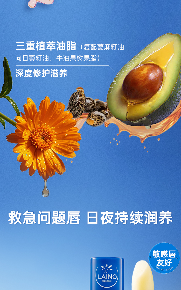 B1B83F87C2A92D0B15AB446DFE185057.jpg 蕾娜详情组合_04.jpg
