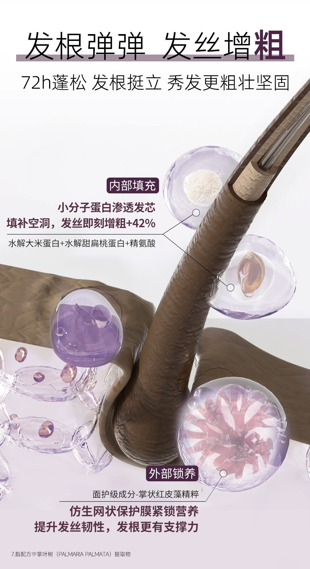 洗发水_05.jpg
